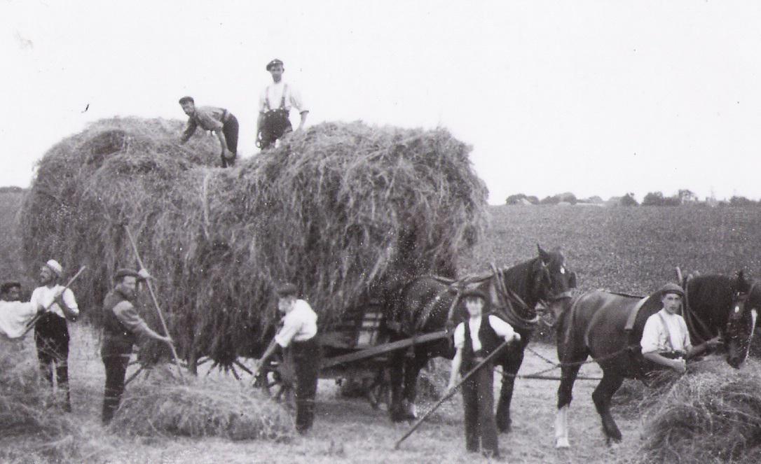 Undated - Farming Scene 4